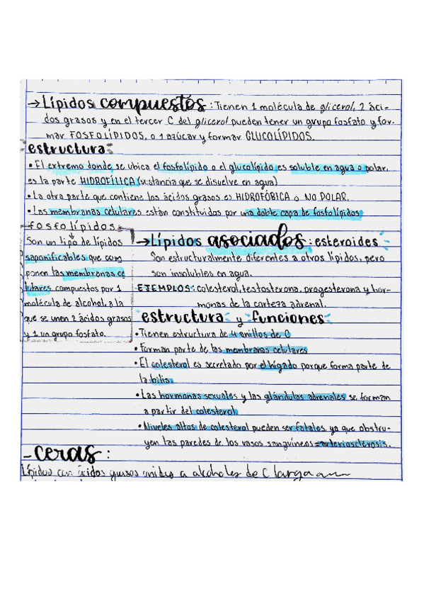 Miniatura del documento LÍPIDOS.pdf