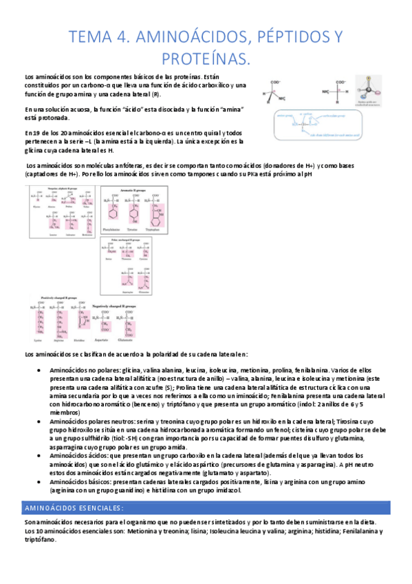 Miniatura del documento tema-4-biioquimica-apuntes.pdf