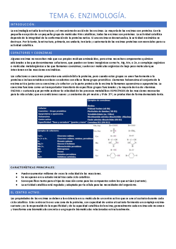 Miniatura del documento tema-6-bioquimica-apuntes.pdf