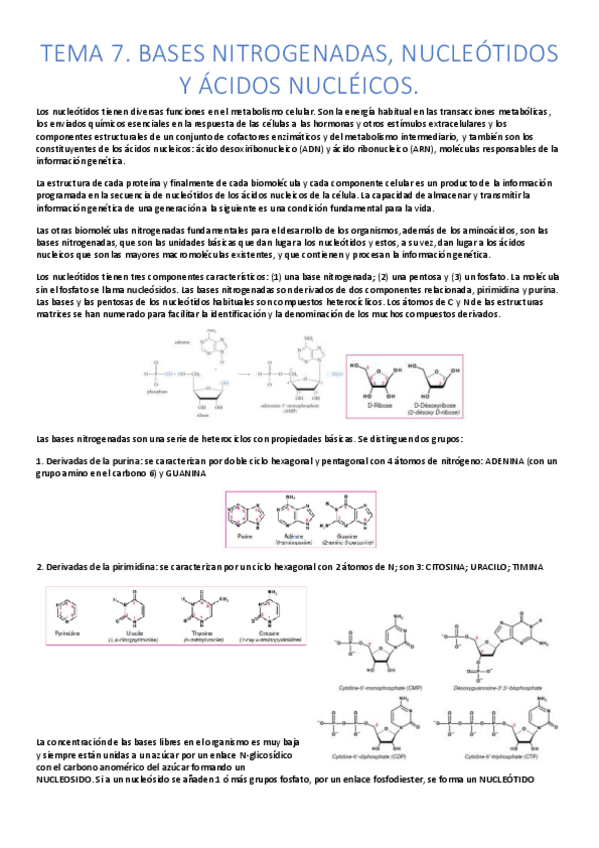 Miniatura del documento tema-7-bioquimica-apuntes.pdf