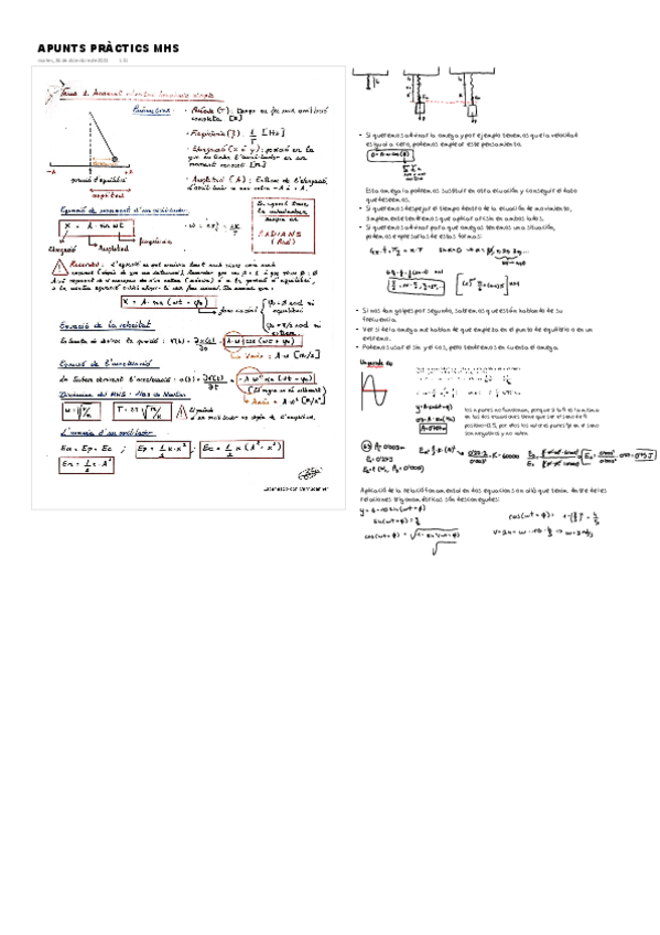 Miniatura del documento APUNTS-MHS.pdf