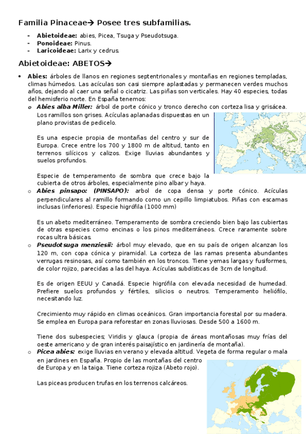Miniatura del documento Tema-3-Abietoideae.docx