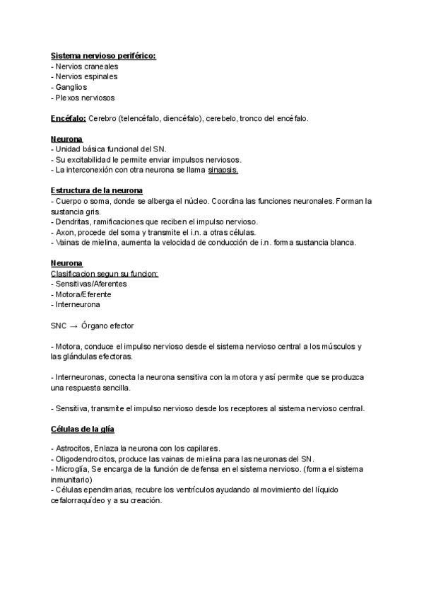 Miniatura del documento Anatomía.pdf