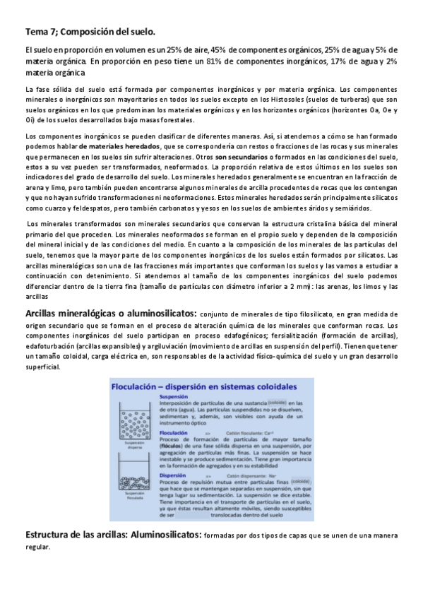 Miniatura del documento Tema-8-Composiccion-d3el-suelo.pdf