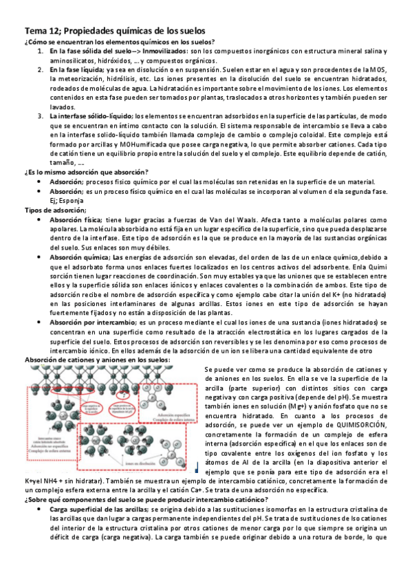 Miniatura del documento Tema-12-Propiedades-quimicas-del-suelo.pdf