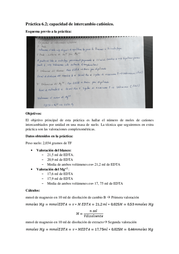 Miniatura del documento Practica-6.2-Capacidad-de-intercambio-cationico-JorgeMoralesGarcia.pdf