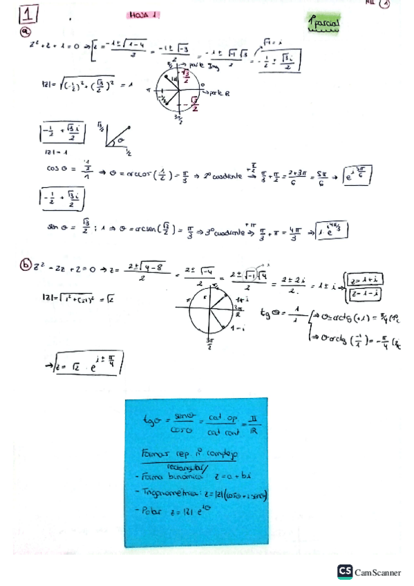 Miniatura del documento hoja1-hecha.pdf