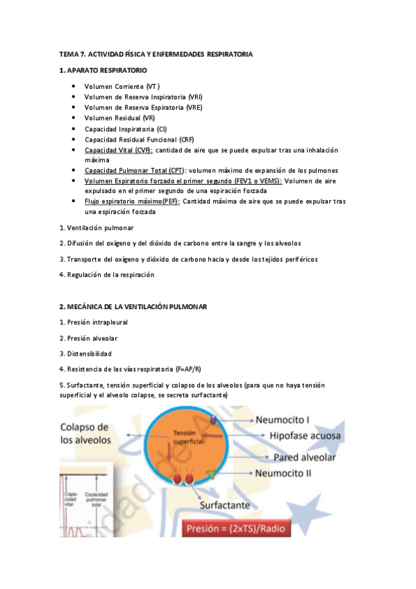 Miniatura del documento TEMA-7-ENFERMEDADES-RESPIRATORIA-RESUMEN.pdf