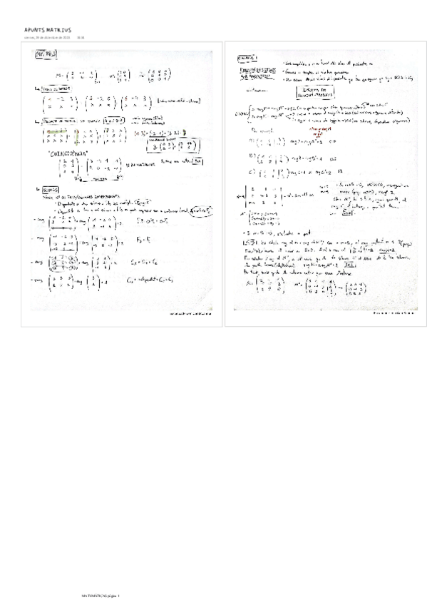 Miniatura del documento APUNTS-MATRIUS.pdf