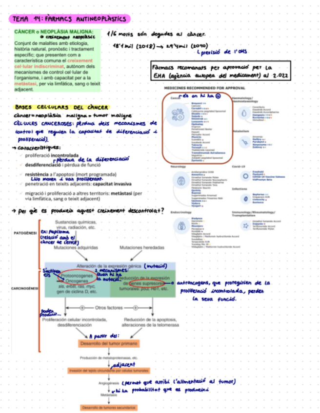 Miniatura del documento T.14-Farmacs-antineoplastics.pdf