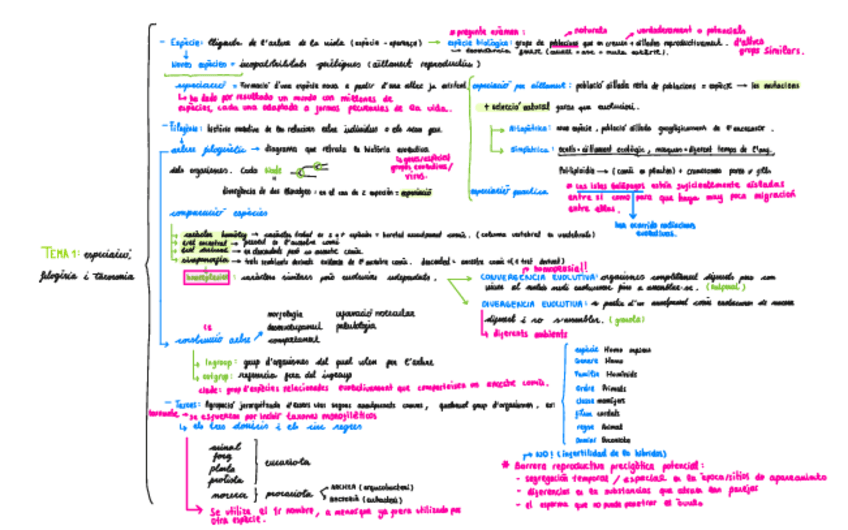 Miniatura del documento RESUMENES.pdf