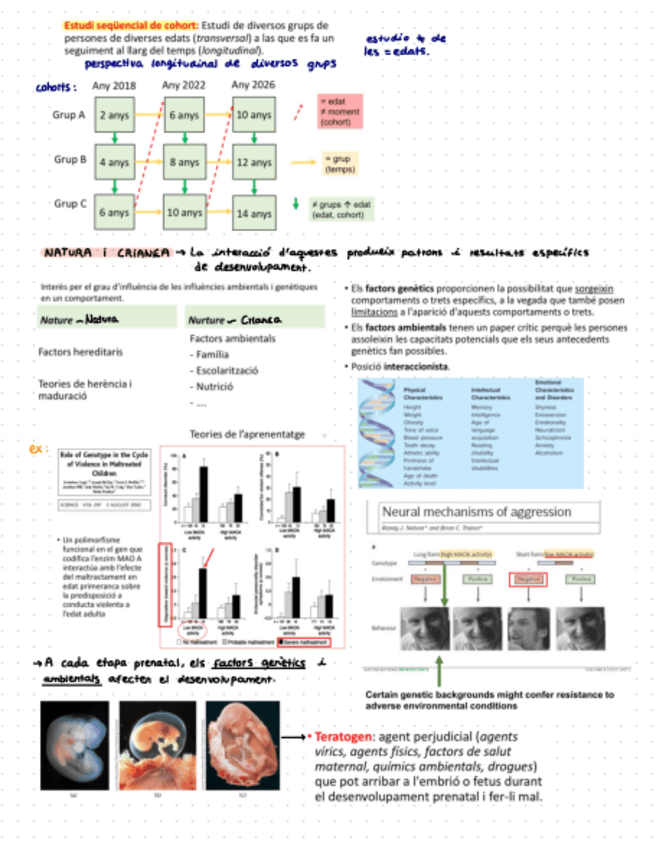 Miniatura del documento T.7-Psicologia-del-desenvolupament.pdf