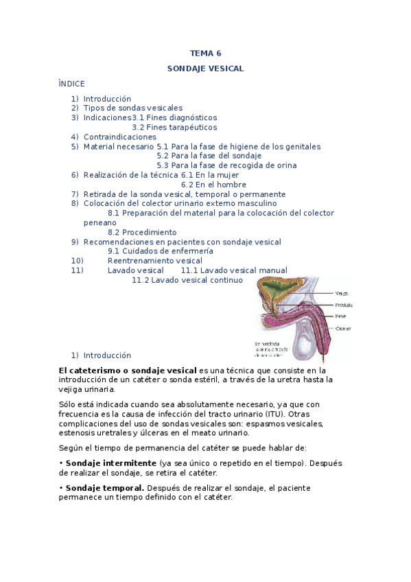 Miniatura del documento TEMA-6.docx