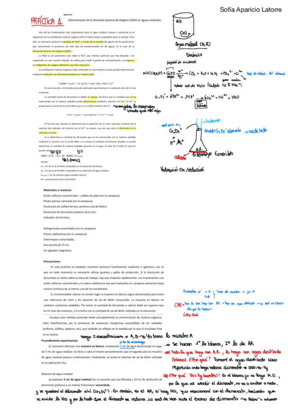 Miniatura del documento Practicas.pdf