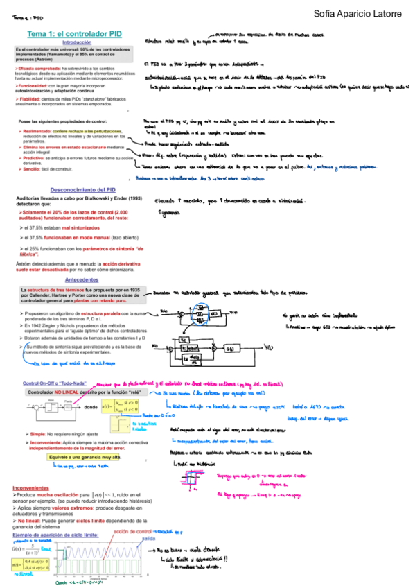 Miniatura del documento 2.PID.pdf