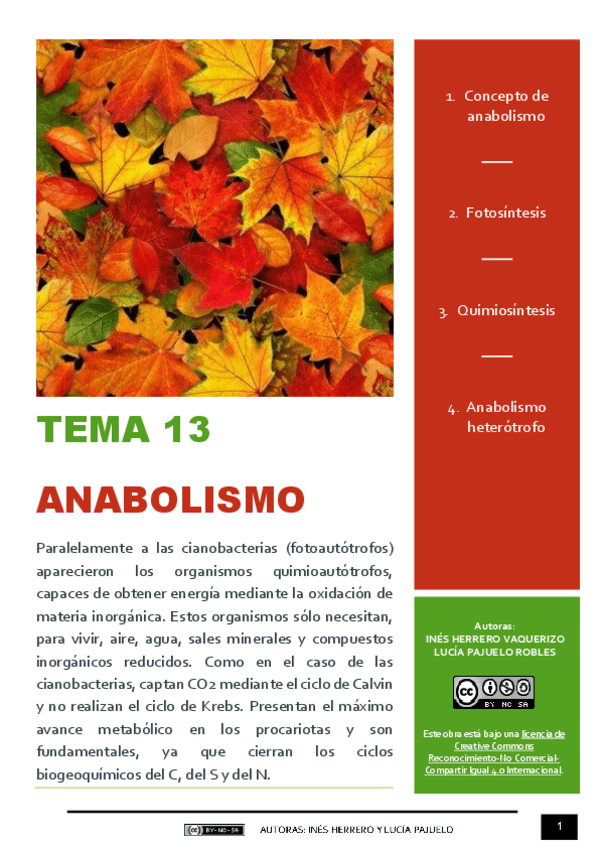 Miniatura del documento TEMA 13 - METABOLISMO (ANABOLISMO).pdf