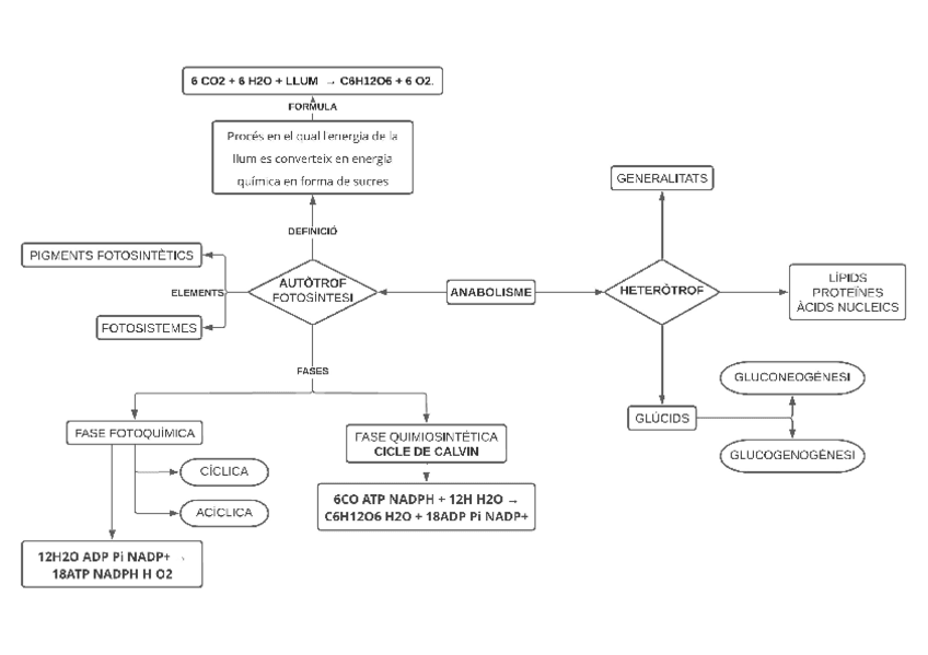 Miniatura del documento MET-1.pdf