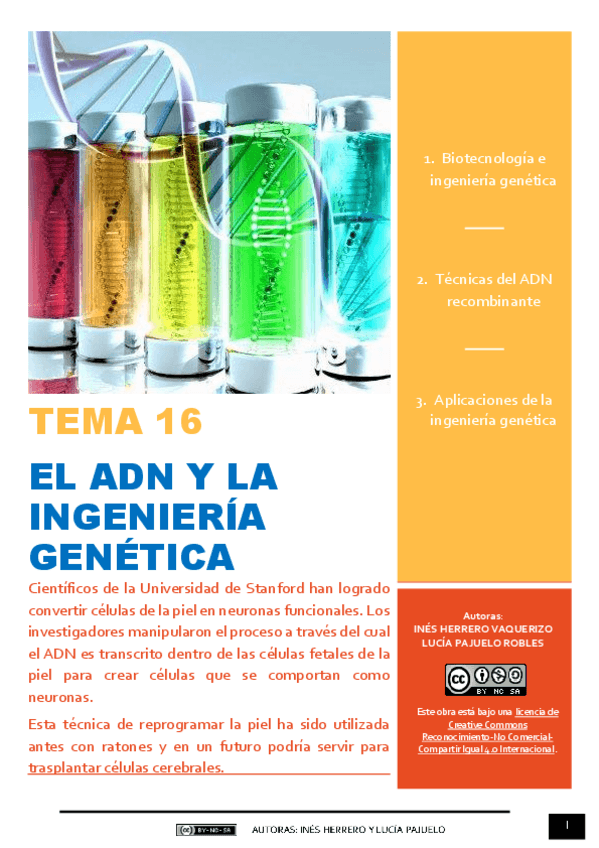 Miniatura del documento TEMA 16 - BIOTECNOLOGÍA E INGENIERÍA GENÉTICA.pdf