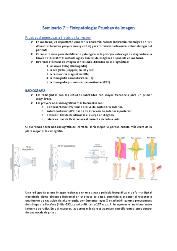 Miniatura del documento Seminario-7-fisiopatologia.pdf