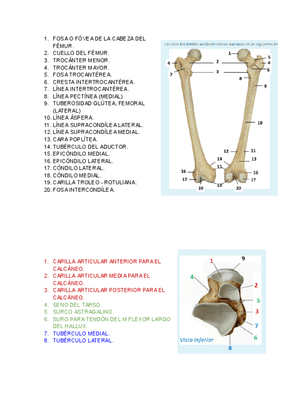 Miniatura del documento MMII-IMAGENES-CUESTIONARIO.pdf