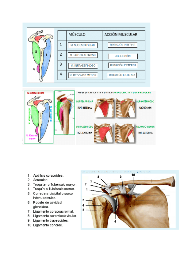 Miniatura del documento MMSS-IMAGENES-CUESTIONARIO.pdf