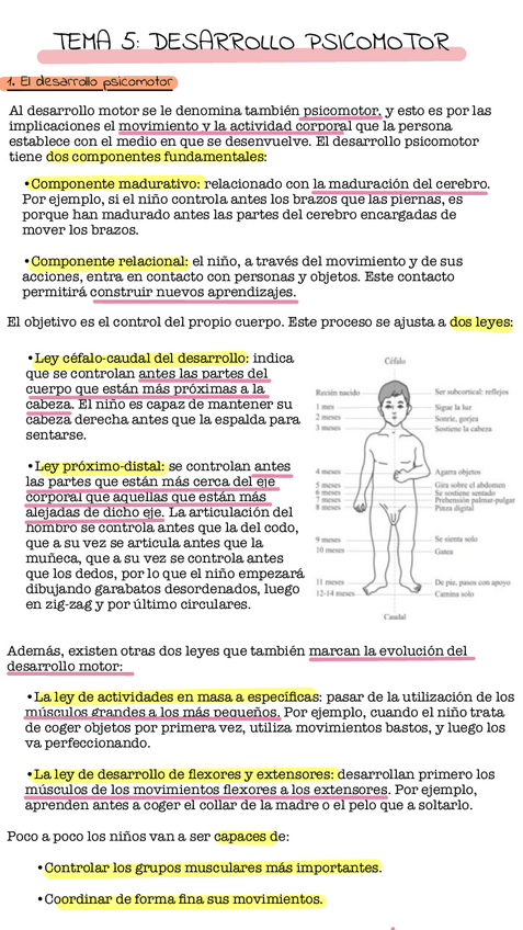 Miniatura del documento Tema-5.pdf