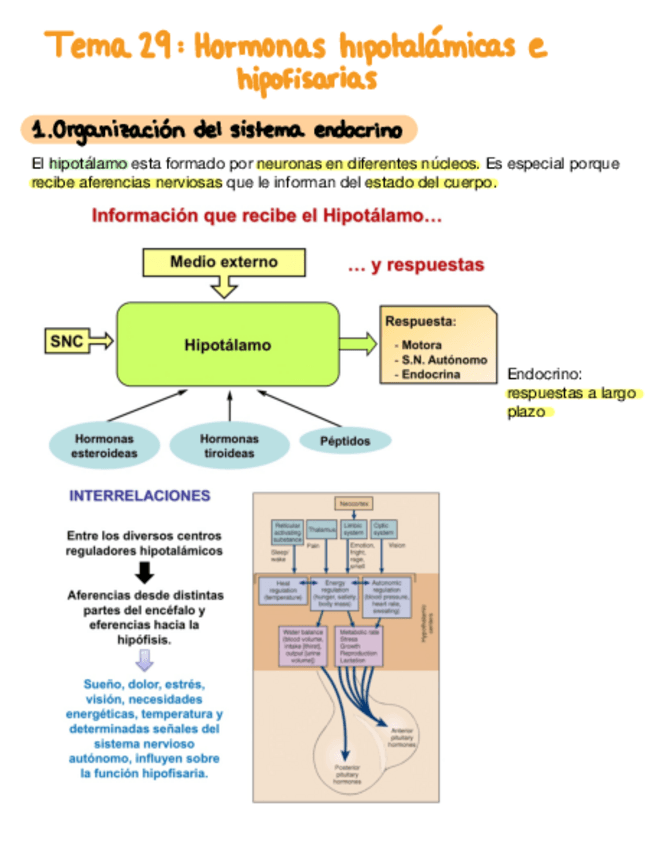 Miniatura del documento Tema-29-Hormonas-Hipotalamicas-E-Hipofisarias.pdf