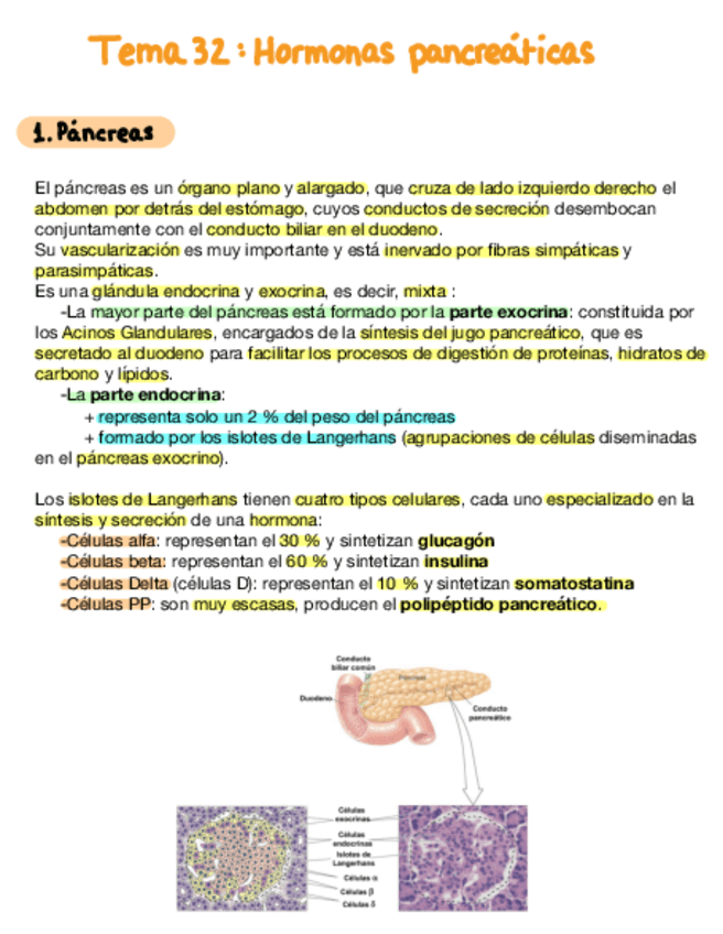 Miniatura del documento Tema-32-Hormonas-Pancreaticas.pdf