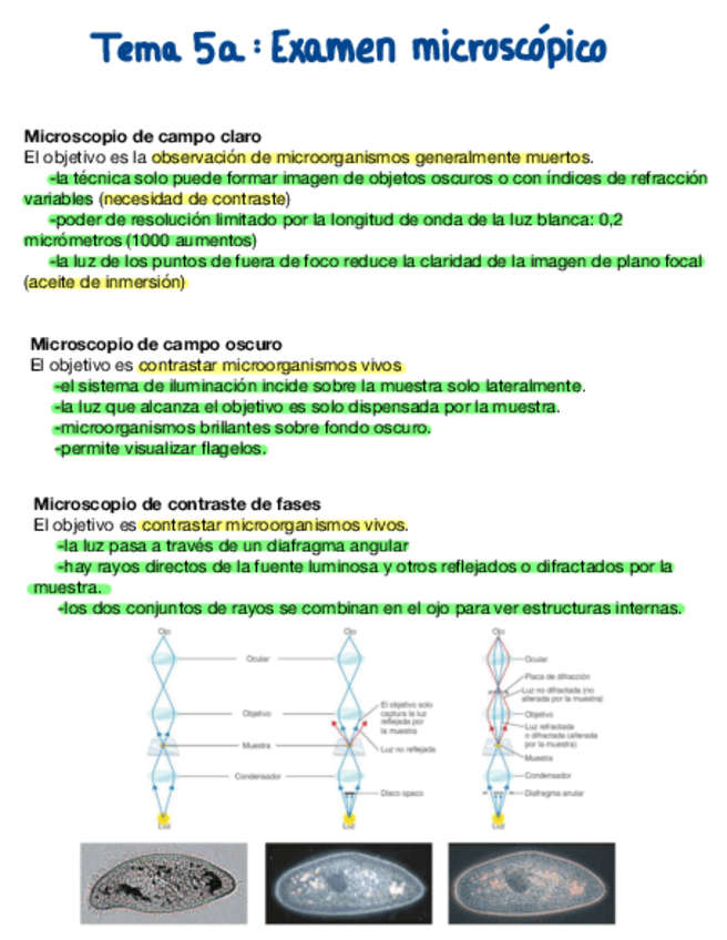Miniatura del documento Tema-5-Examen-Microscopico-De-Las-Bacterias.pdf
