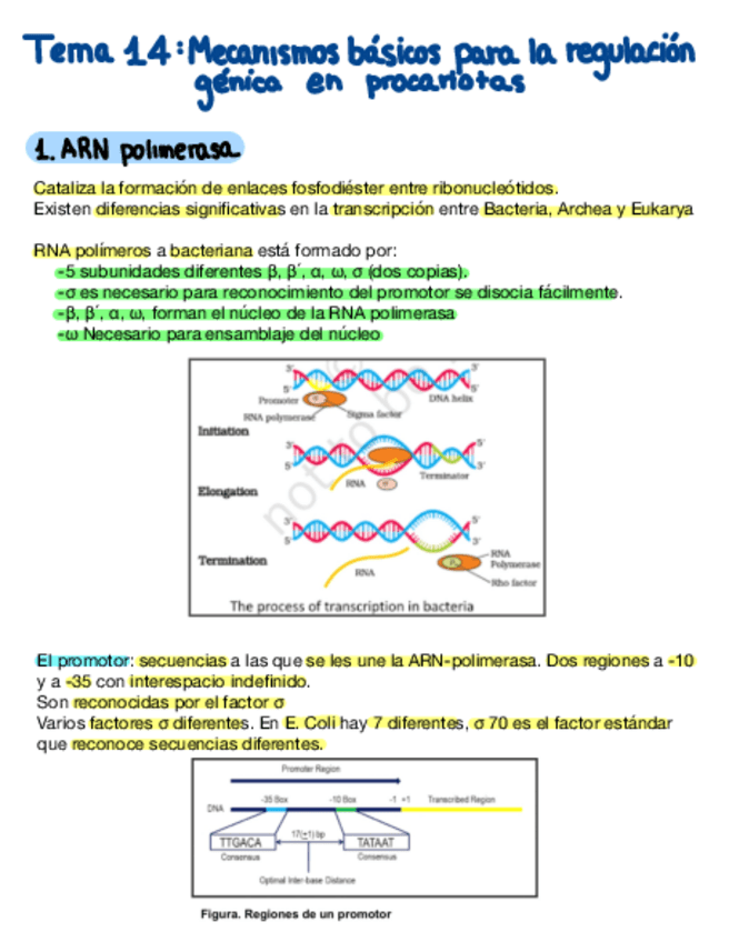 Miniatura del documento Tema-14.pdf