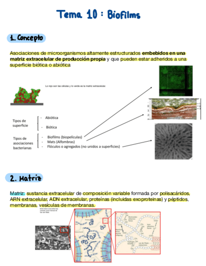 Miniatura del documento Tema-10.pdf