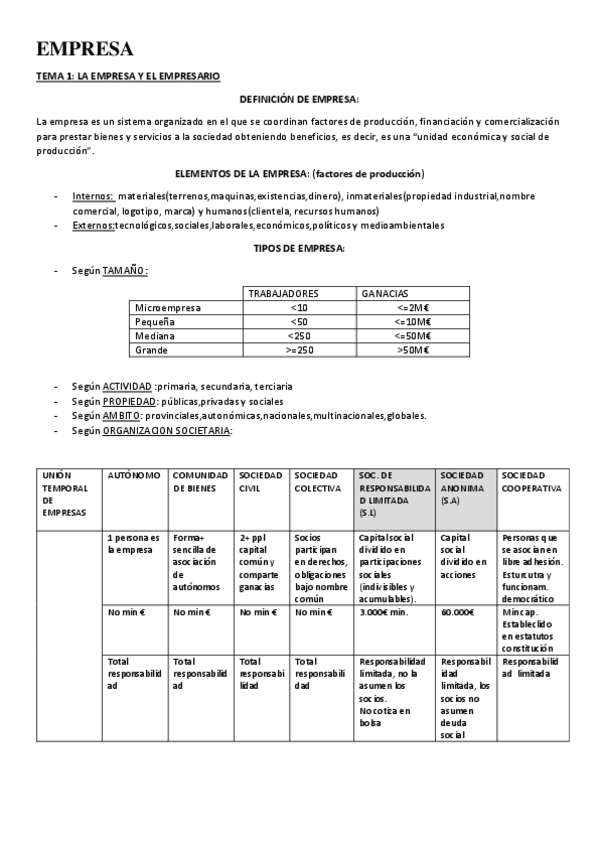 Miniatura del documento EMPRESA-T1.pdf