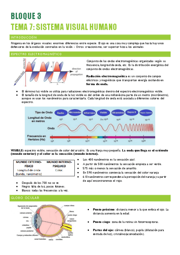 Miniatura del documento PSICOLOGIA-DE-LA-PERCEPCION-1-38-46.pdf