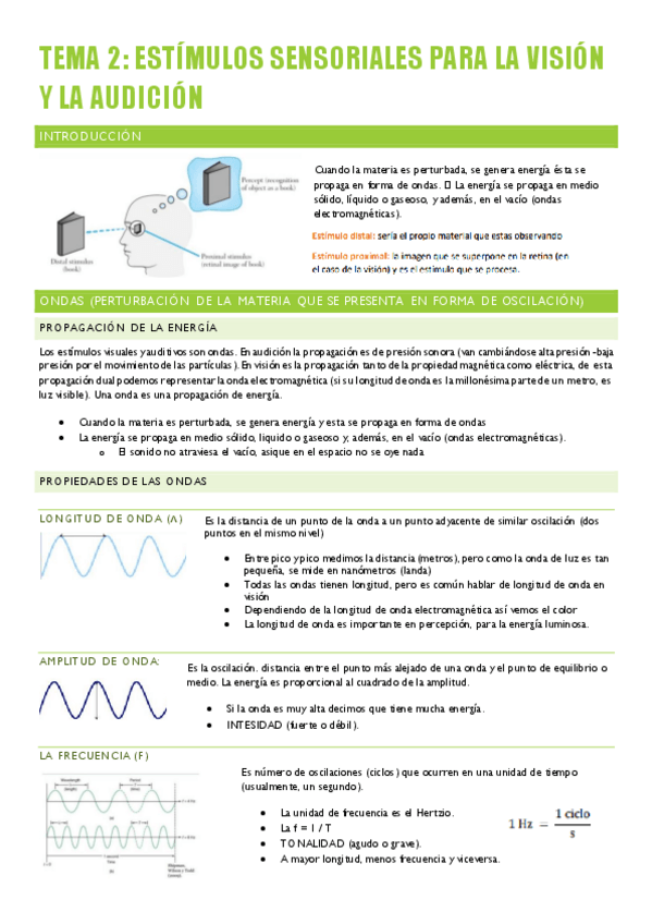 Miniatura del documento PSICOLOGIA-DE-LA-PERCEPCION-1-11-13.pdf