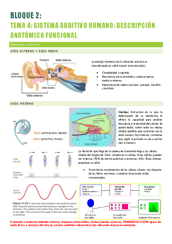 Miniatura del documento PSICOLOGIA-DE-LA-PERCEPCION-1-23-27.pdf