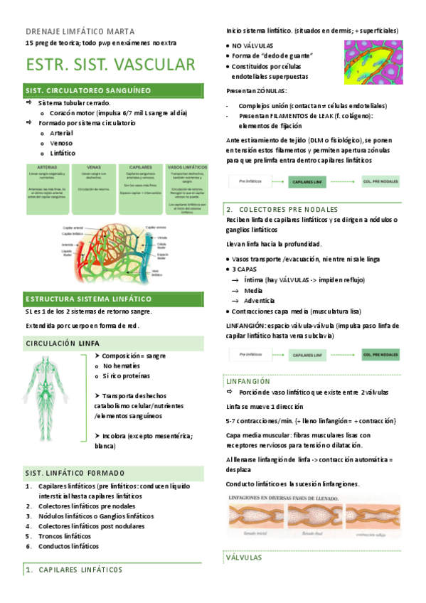 Miniatura del documento SISTEMA-LIMFATICO.pdf