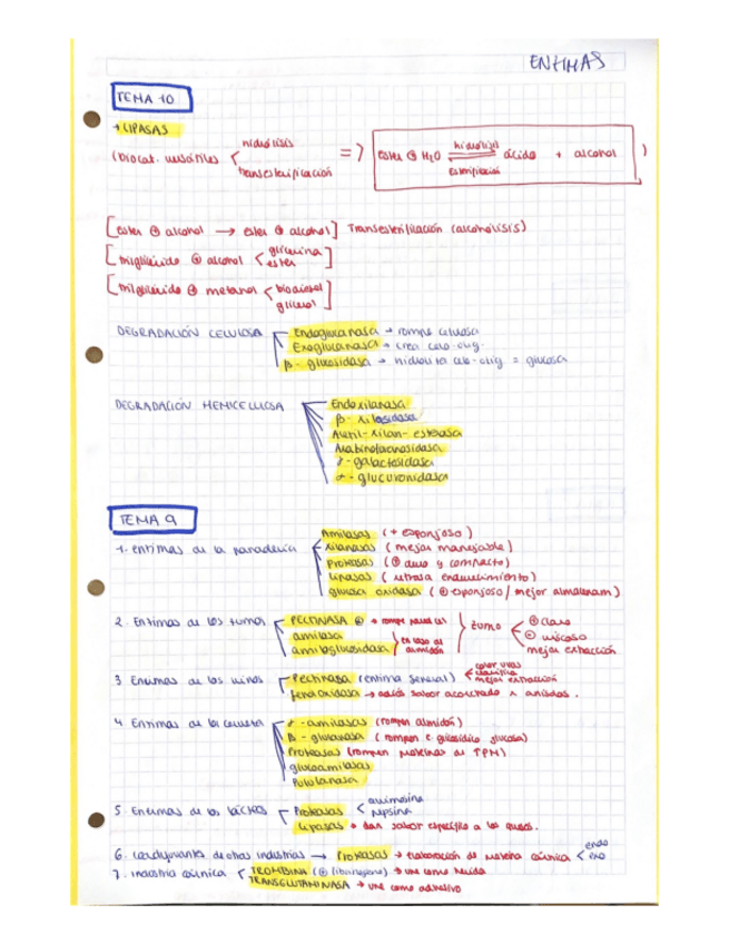 Miniatura del documento TODAS-ENZIMAS-BIOCAT.pdf