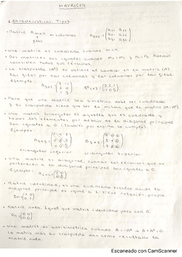 Miniatura del documento Matrices-y-determinantes.pdf