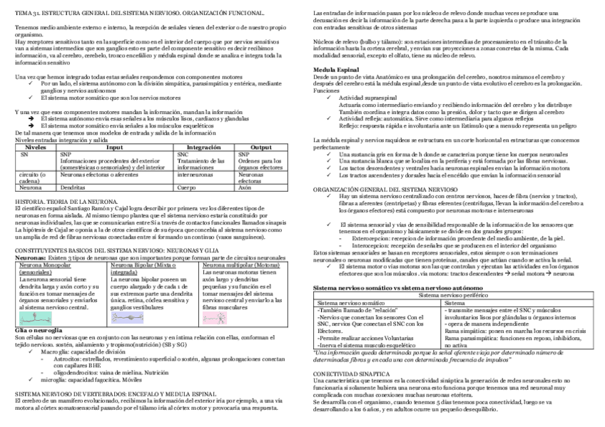 Miniatura del documento Copia-de-RESUMEN-FISIO-TEMAS-31-40.pdf