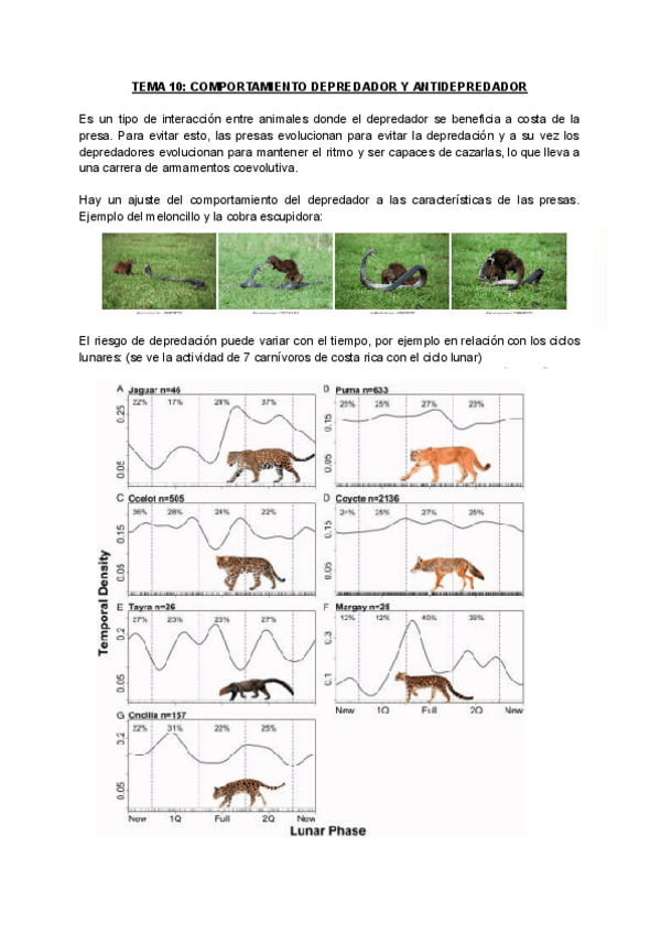 Miniatura del documento TEMA-10COMP.-DEPREDADOR-Y-ANTIDEPREDADOR.pdf