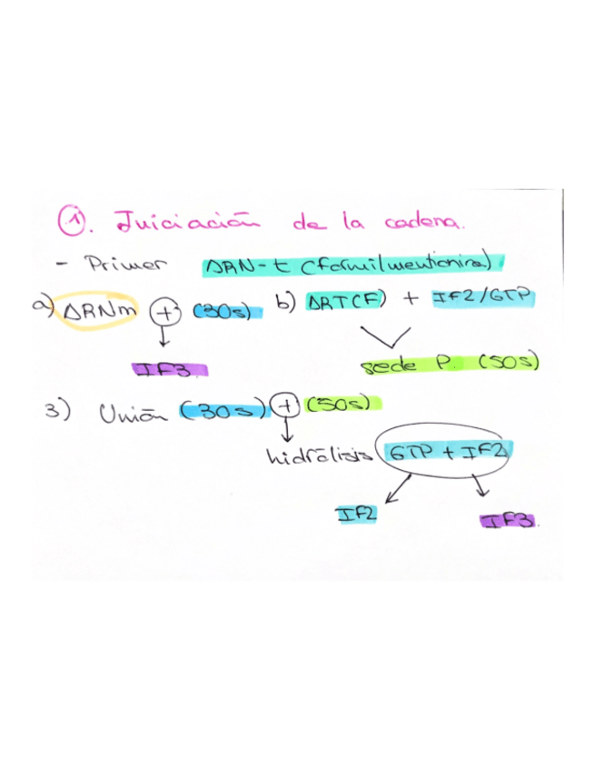 Miniatura del documento Transcripcion-del-ARNm.pdf