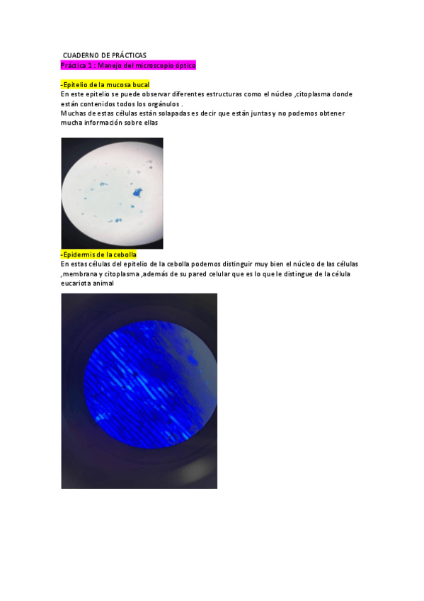 Miniatura del documento cuaderno-practicas-biologia-celular.pdf