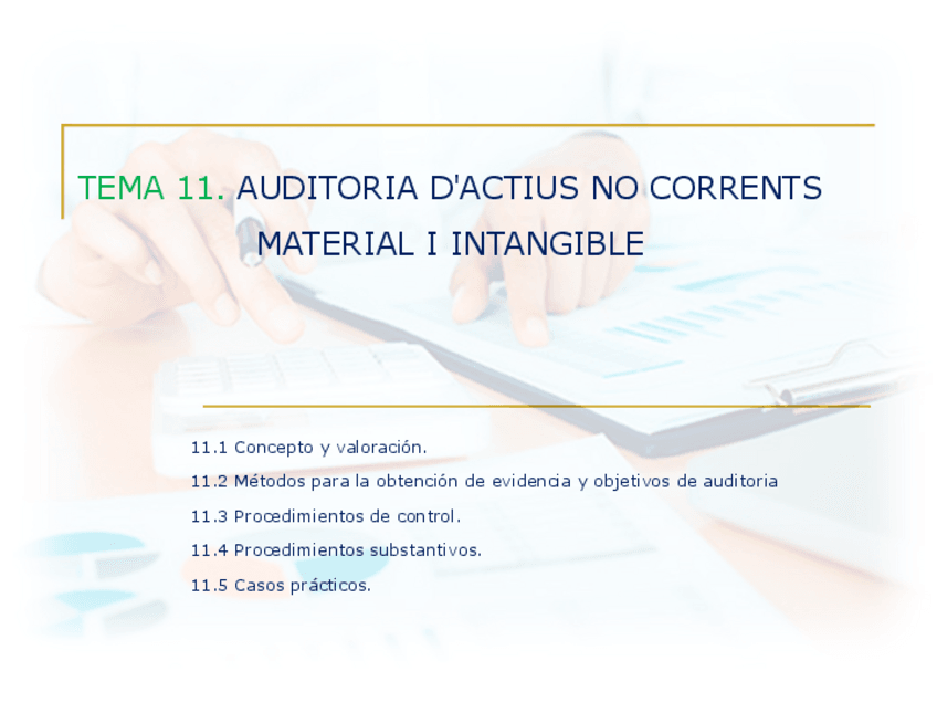 Miniatura del documento TEMA-11-AUDITORIA-DACTIUS-NO-CORRENTS-MATERIAL-I-INTANGIBLE.pdf