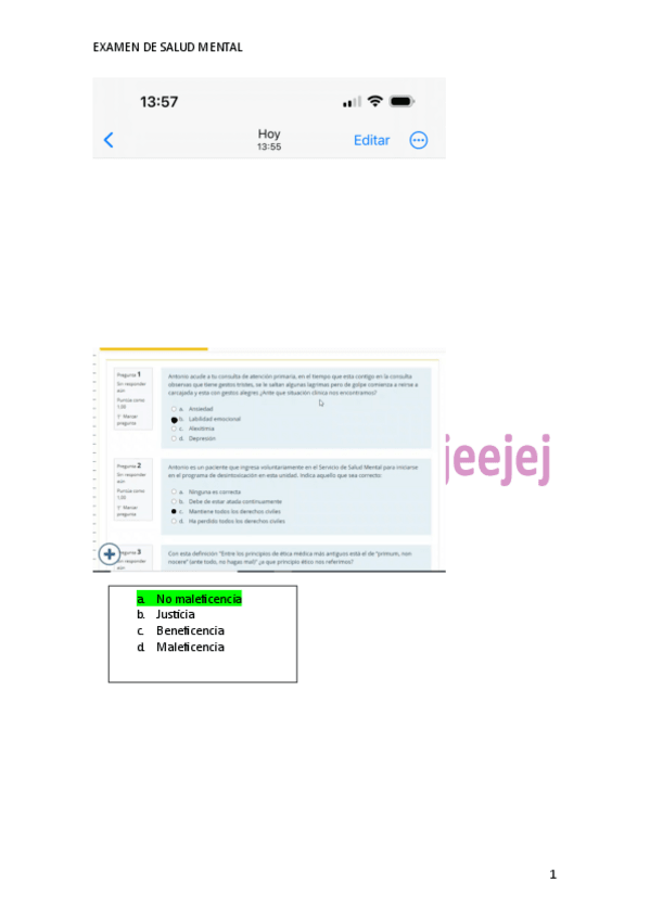 Miniatura del documento EXAMEN-SALUD-MENTAL.pdf