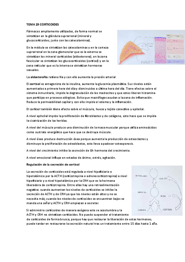 Miniatura del documento TEMA-29-CORTICOIDES.pdf