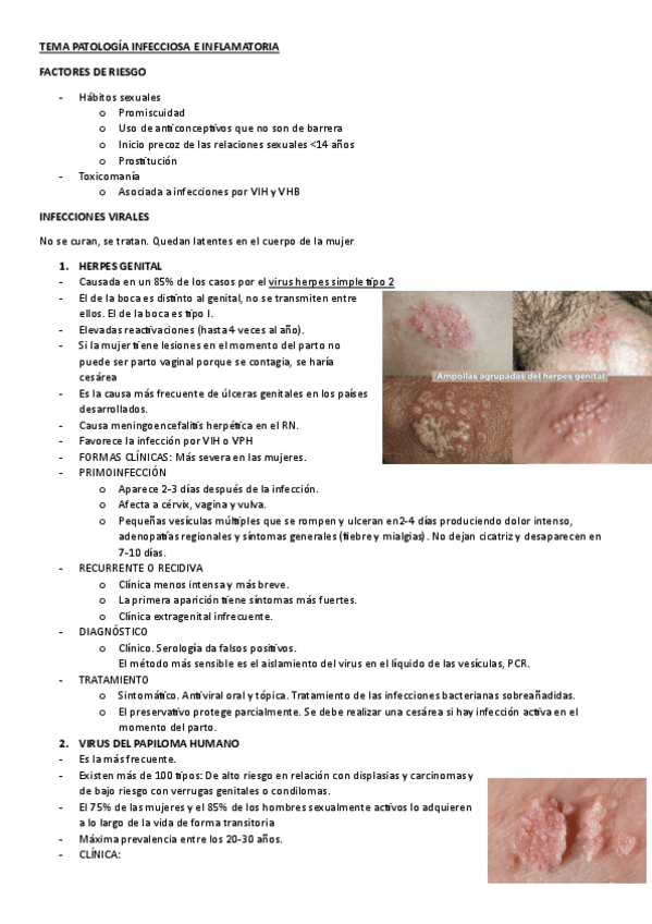 Miniatura del documento TEMA-PATOLOGIA-INFECCIOSA-E-INFLAMATORIA.pdf