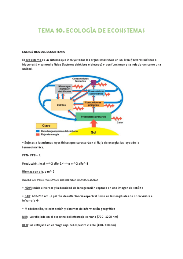 Miniatura del documento Tema-10.pdf