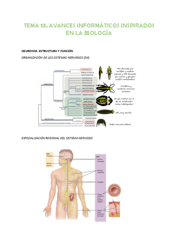 Miniatura del documento Tema-13.pdf