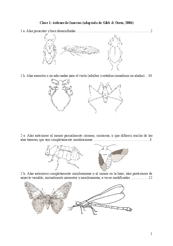 Miniatura del documento Clave 1 insectos.pdf