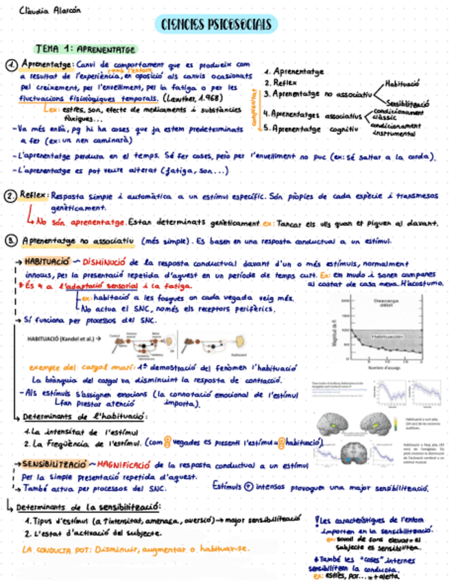 Miniatura del documento T.1-Aprenentatge.pdf